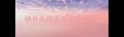 梯开头成语有哪些成语