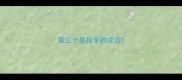 第三个是指字的成语