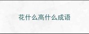 花什么高什么成语