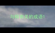 与粽有关的成语