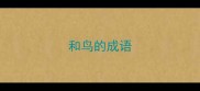 和鸟的成语