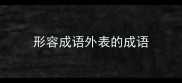 形容成语外表的成语