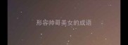 形容帅哥美女的成语