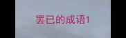 罢已的成语