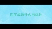 四字成语什么当益壮