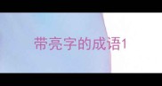 带亮字的成语