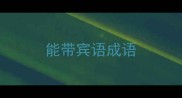 能带宾语成语
