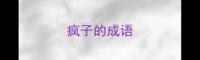 疯子的成语