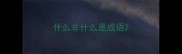什么非什么是成语