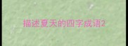描述夏天的四字成语