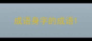 成语身字的成语