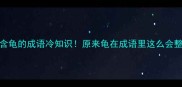 10个含龟的成语冷知识原来龟在成语里这么会整活