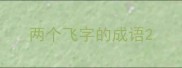 两个飞字的成语