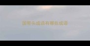 国带头成语有哪些成语