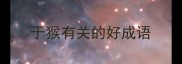 于猴有关的好成语