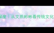 带文的四字成语深度从文质彬彬看传统文化在现代的应用密码