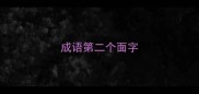 成语第二个面字