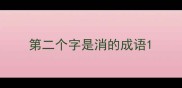 第二个字是消的成语