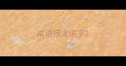 成语接龙追字