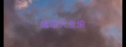 成语大全偷