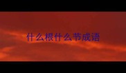什么根什么节成语