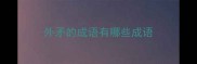 外矛的成语有哪些成语