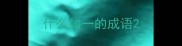 什么如一的成语