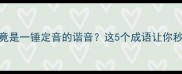 成语谐音梗yesno竟是一锤定音的谐音这5个成语让你秒变社交达人