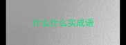 什么什么实成语