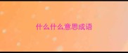 什么什么意思成语