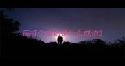 病打个成语是什么成语