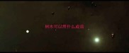 树木可以用什么成语
