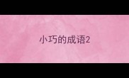 小巧的成语