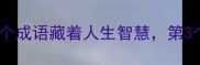 树大根深这5个成语藏着人生智慧第3个被90人误解