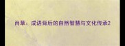肖草成语背后的自然智慧与文化传承