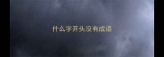 什么字开头没有成语