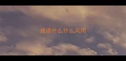 成语什么什么风雨