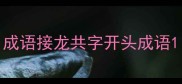 成语接龙共字开头成语