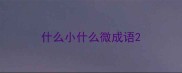 什么小什么微成语