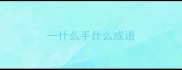 一什么手什么成语