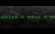 包含螳字的10大成语及寓意从螳臂当车到螳螂捕蝉的智慧传承