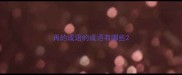 再的成语的成语有哪些