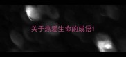 关于热爱生命的成语