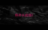 照开头成语
