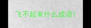 飞不起来什么成语