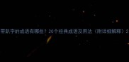 带趴字的成语有哪些20个经典成语及用法附详细解释