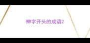 辨字开头的成语