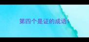 第四个是证的成语