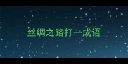 丝绸之路打一成语