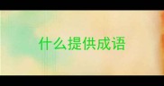 什么提供成语